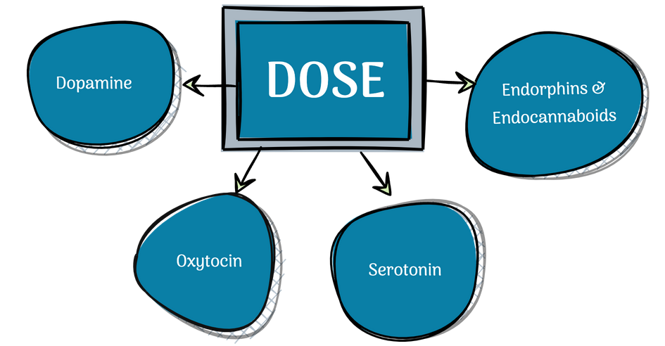 simple DOSE graphic